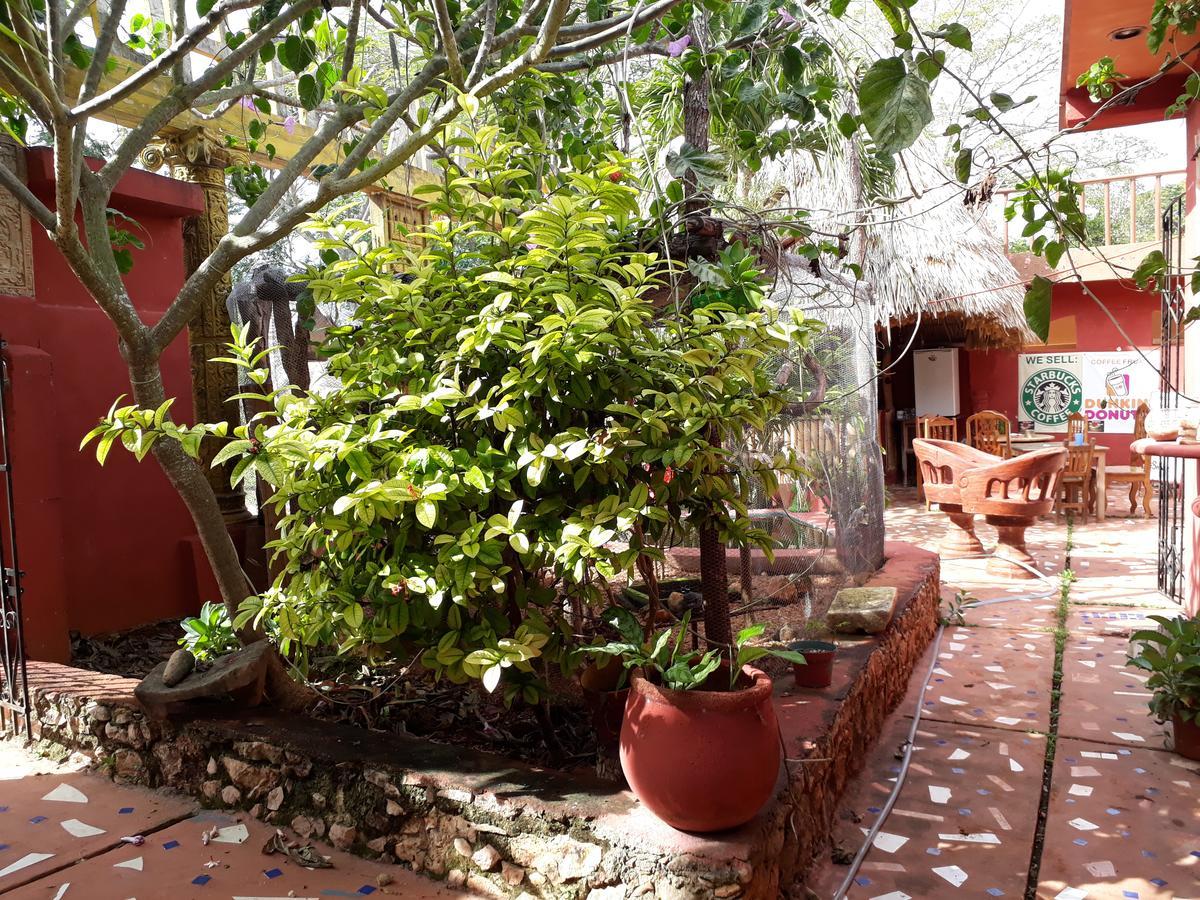 El Chac Mool Bed and Breakfast Santa Elena Eksteriør billede