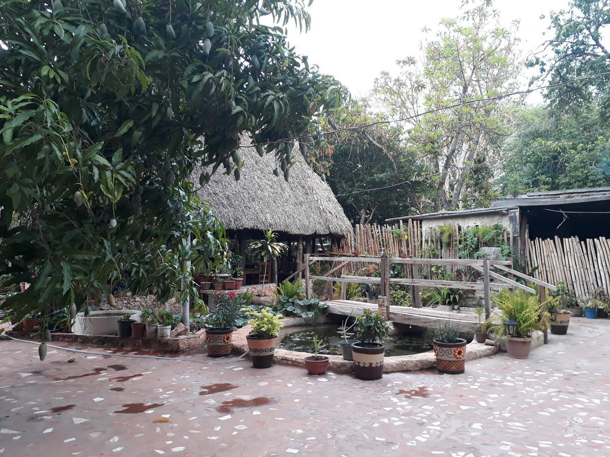 El Chac Mool Bed and Breakfast Santa Elena Eksteriør billede