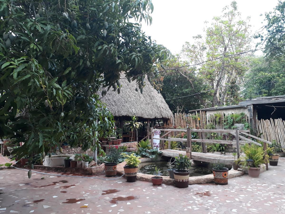 El Chac Mool Bed and Breakfast Santa Elena Eksteriør billede